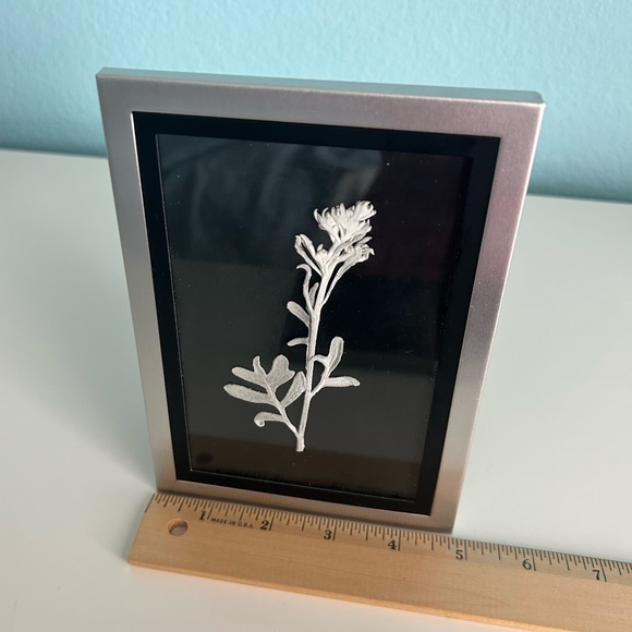 Handmade Home Décor- Pressed Dusty Miller in Silver Frames (Set of 4) - Picture 5 of 11